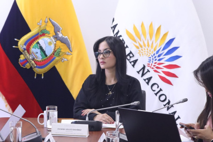 Viviana Veloz fue presidenta de la Asamblea Nacional en el periodo pasado y es la actual jefa del bloque correísta.