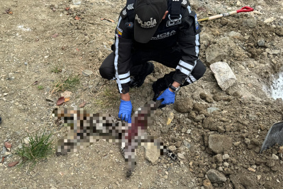 Policía Nacional atendió el caso.