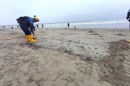 Desde muy temprano la mañana de este martes empezaron las labores de limpieza en la playa de Monteverde
