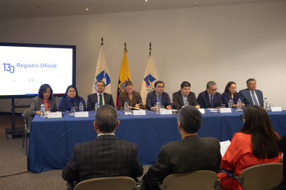 Jhoel Escudero Soliz preside actualmente el Pleno de la Corte Constitucional.