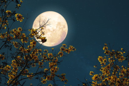 Referencial. Ecuador será testigo de la Luna llena del Esturión.