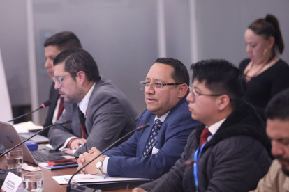 El contralor comparece en la Asamblea y da detalles de los contratos de Progen y Austral.