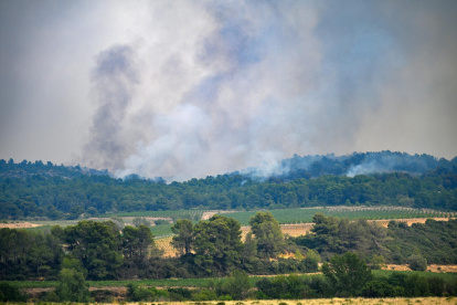 Columnas de humo del incendio forestal cerca de Saint Laurent de la Cabrerisse en Aude, Francia.