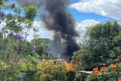 Hecho. Vecinos denunciaron quemas a cielo abierto en una zona boscosa.