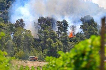 Un camión de bomberos opera durante el incendio forestal en Saint-Laurent-de-la-Cabrerisse, departamento de Aude, sur de Francia.
