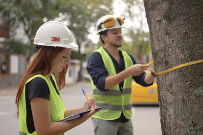Más de 5.700 árboles urbanos de Loja están registrados en la plataforma digital con fichas técnicas detalladas.
Más de 5.700 árboles urbanos de Loja están registrados en la plataforma digital con fichas técnicas detalladas.