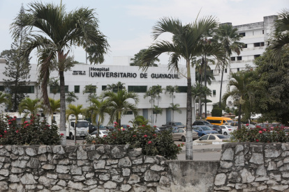 La muertes de los bebés ocurrió en el Hospital Universitario de Guayaquil.