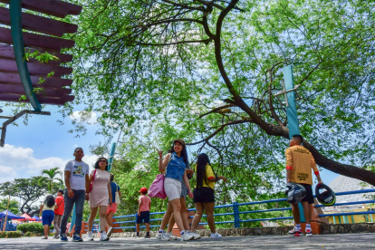 Espacios. Las familias realizan diversas actividades en el parque Forestal (sur de Guayaquil) los fines de semana, en los que se evidencia un mayor dinamismo.