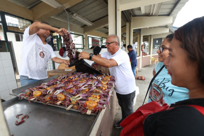 Las personas que violen la veda de cangrejo pueden afrontar sanciones (foto referencial).