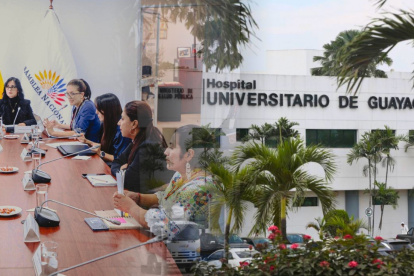 Viviana Veloz y autoridades debatieron sobre muertes neonatales en audiencia del 12 de agosto