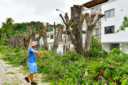 TALA INDESCRIMINADA DE ARBOLES EN LA URBANIZACION LAS GARZAS FOTOGRAFO: FRANCISCO FLORES PERIODISTA: CARLOS PINO FECHA: 14-08-2025 AG-EXTERNOS