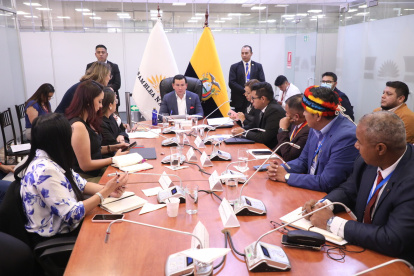 La Comisión de Fiscalización definió el cronograma para el juicio político a Gonzalo Albán, vocal del CPCCS.