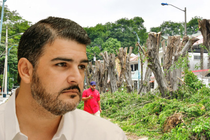 El alcalde se pronunció del "ecocidio" en Las Garzas