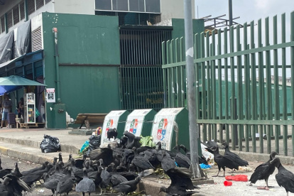 La basura se acumula en un área del Malecón de Quevedo, cerca al Mercado del Río.