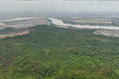 En Guayaquil se han reportado varios incendios forestales en los últimos años.