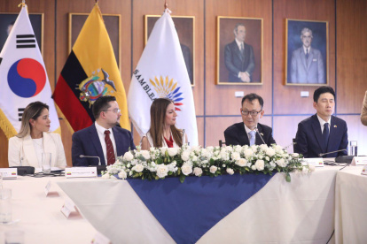 El grupo Interparlamentario de Amistad entre la Asamblea Nacional del Ecuador y la República de Corea del Sur.