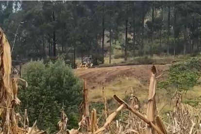 Hecho. Los vecinos captaron a la maquinaria en medio de la vegetación.