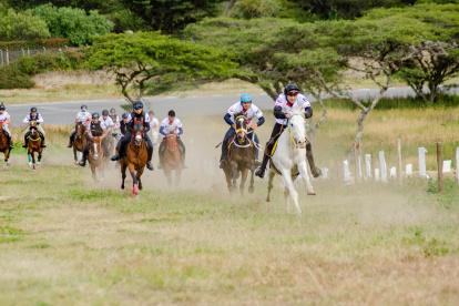 Brote de influenza equina obliga a postergar la Cacería del Zorro en Ibarra.