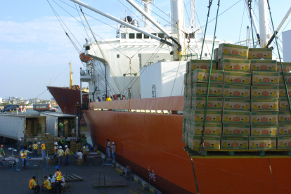 Cajas de banano transportadas para ponerlas en contenedores para ser exportadas.