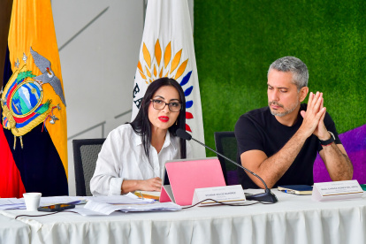 La presidenta de la Comisión de la Niñez, Viviana Veloz, se pronunció sobre la acusación a un sacerdote.