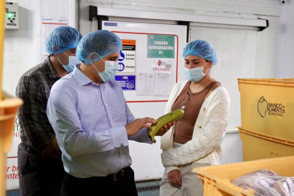 El banano es un de los productos estrellas de exportación que tiene Ecuador.