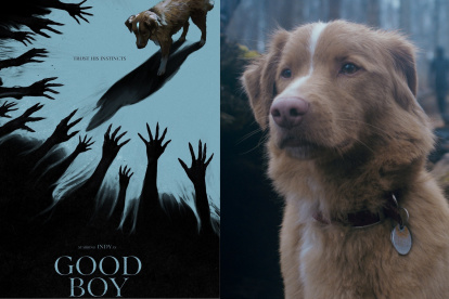 Un perro que se enfrenta a las entidades malignas