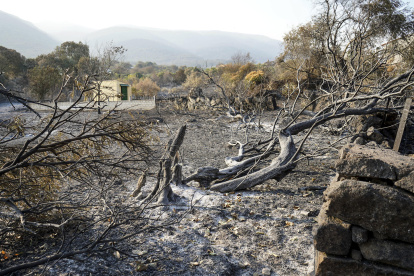 Área quemada en el municipio de Jarilla, en España, este miércoles 20 de agosto de 2025.
