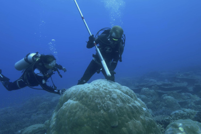 El riesgo de colapso de la Capa de Hielo de la Antártida Occidental (WAIS) es cada vez mayor