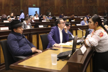 El correísmo lo intentó, pero nuevamente el proyecto de las reformas al COIP, que elaboró, no fue aprobado en el Pleno.