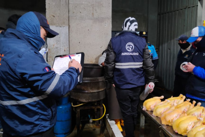 AMC clausuró local clandestino en Chillogallo: se hallaron 320 pollos
inyectados para aumentar su peso.