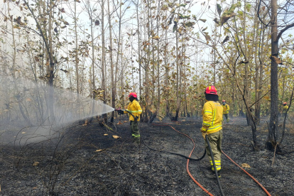 Incendio en Ciudad Victoria 1