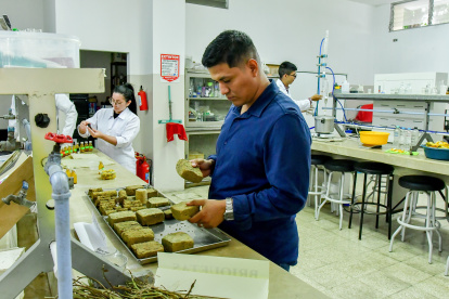 La cáscara de coco transformada en ladrillos para usarlos como carbón.