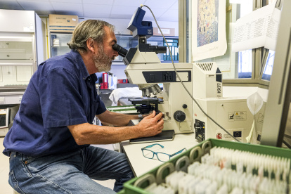 Una novedosa investigación sobre los efectos de la pandemia concluye que las niñas y niños de 5 años que contrajeron el virus de la covid-19.