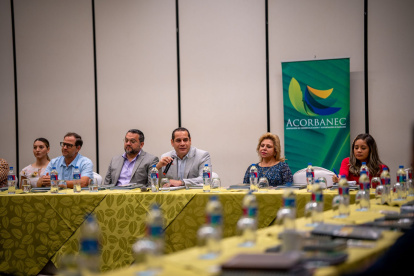 El gremio bananero agradeció la agilización de la apertura definitiva del mercado brasileño