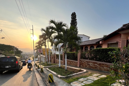 En el sector de Lomas de Urdesa se observan fachadas con vegetación, pero no es un panorama común en Guayaquil.