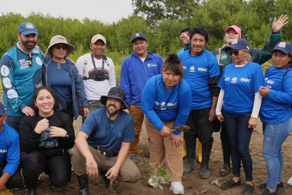 Se realizó siembra de mangle y minga.