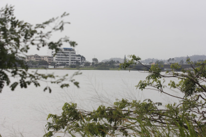 La cuenca del río Guayas se compone del río Daule y el Babahoyo.