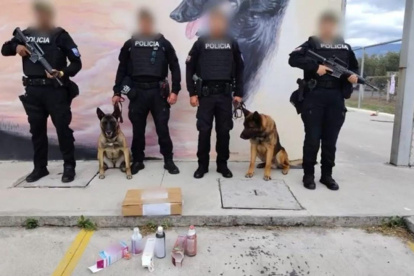 Policía incauta más de 13.000 dosis de cocaína líquida en agencia de courier en Quito.