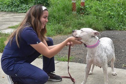 Más de 3.500 denuncias por maltrato, abandono y otras formas de vulneración animal fueron registradas en Guayaquil entre enero y junio de 2025.
