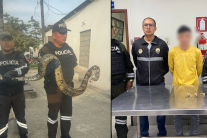 Casos relacionados a la fauna silvestre.