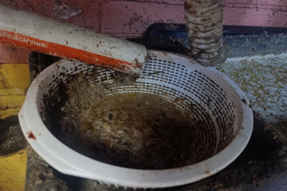 Cucarachas, refrigeradoras oxidadas y alimentos mal almacenados fueron parte de las irregularidades encontradas en un chifa en el norte de Quito