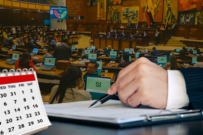 Entre lo más característico de los 100 primeros días de la Asamblea Nacional es que cuatro de las normativas aprobadas enfrentan demandas de inconstitucionalidad.