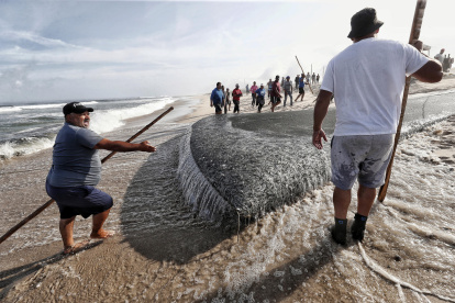 La xávega, una práctica ancestral de pesca propia de varias regiones del norte y el centro de Portugal, en la Praia de Torreira.