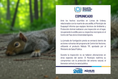 El Municipio dijo que el producto que usaron tiene el aval del Ministerio de Salud Pública.