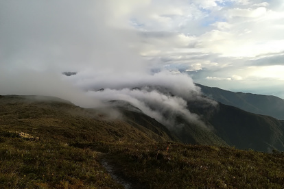 Parque. Parte del Parque Nacional Podocarpus, en Zamora Chinchipe.