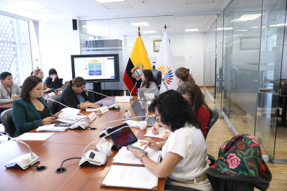 De manera telemática, delegados de los ministerios de Defensa y del Interior comparecieron de manera telemática ante la Comisión de Régimen Económico, Tributario, su Regulación y Control del Legislativo.