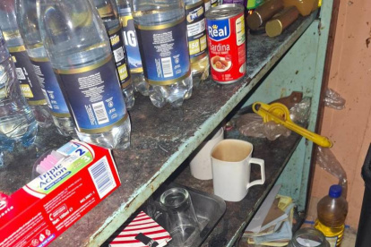 Clausuran picantería en Rumiñahui por condiciones insalubres.