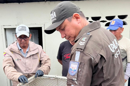 La Policía Ambiental acudió hasta la población de Buenos Aires en Santa Elena para rescatar la especie