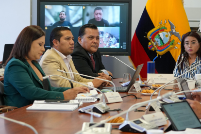 Nathaly Farinango es la presidenta de la mesa de Régimen Económico y Tributario de la Asamblea, a cargo de la proforma.