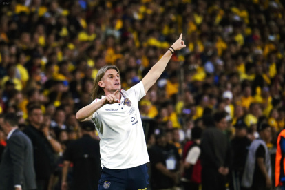 Fortalecer el plantel que llevará a la Copa del Mundo debería ser prioridad para Beccacece.